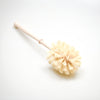 Wooden Toilet Bowl Cleaning Brush